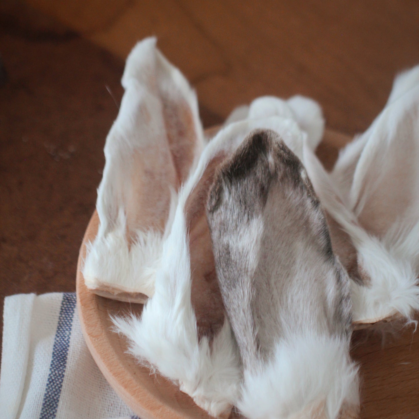 Rabbit Ears - 8 pcs