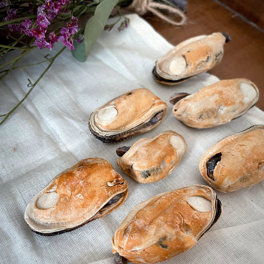 Green-Lipped Mussels - 50g