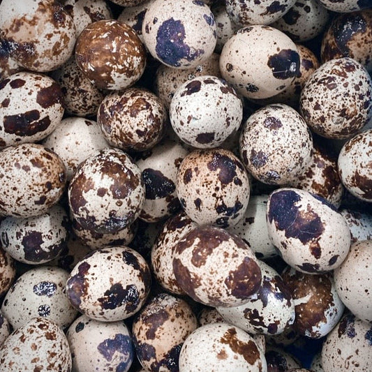 Whole Quail Eggs - 15 pcs